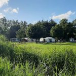 Topcampings_en_Activiteiten_Rondleidingen_in_de_buurt_van_Rotterdam